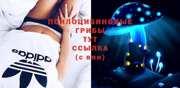 гидропоника Надым