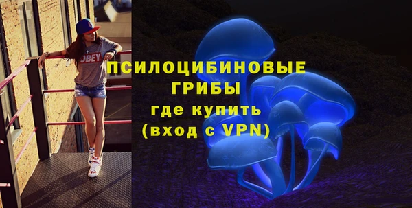 гидропоника Надым